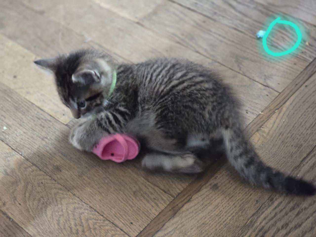 Gebroeders Knuffel en Truffel op zoek naar een nieuwe hoekbank