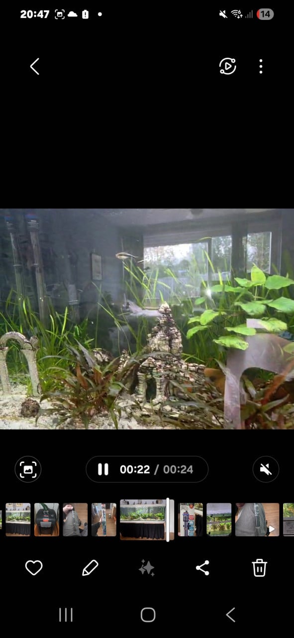 2 meter aquarium met vissen, inrichting en techniek