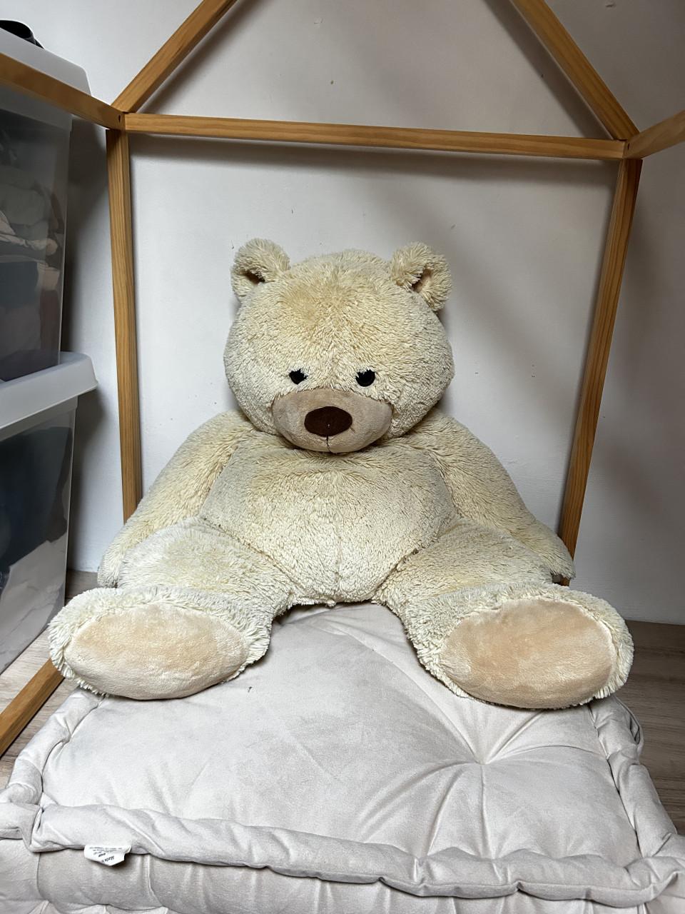 Grote beer c.a. 80cm