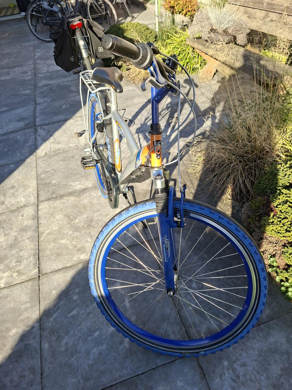 Batavus sneaker