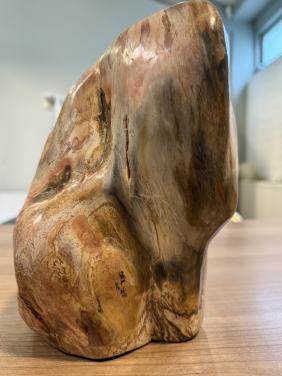 Mineralen: versteend hout