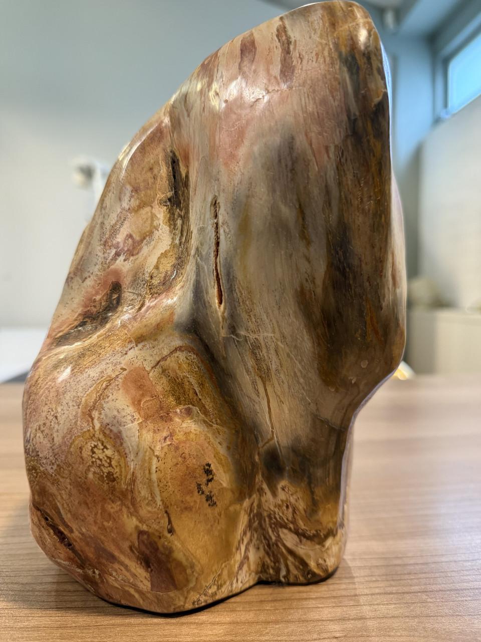 Mineralen: versteend hout