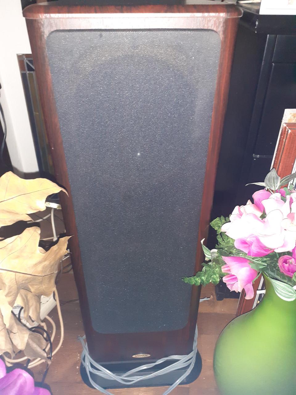 2 x Grote Speakers OMNI-Audio - 200Watt & 1 x DEVINE & TANNOY