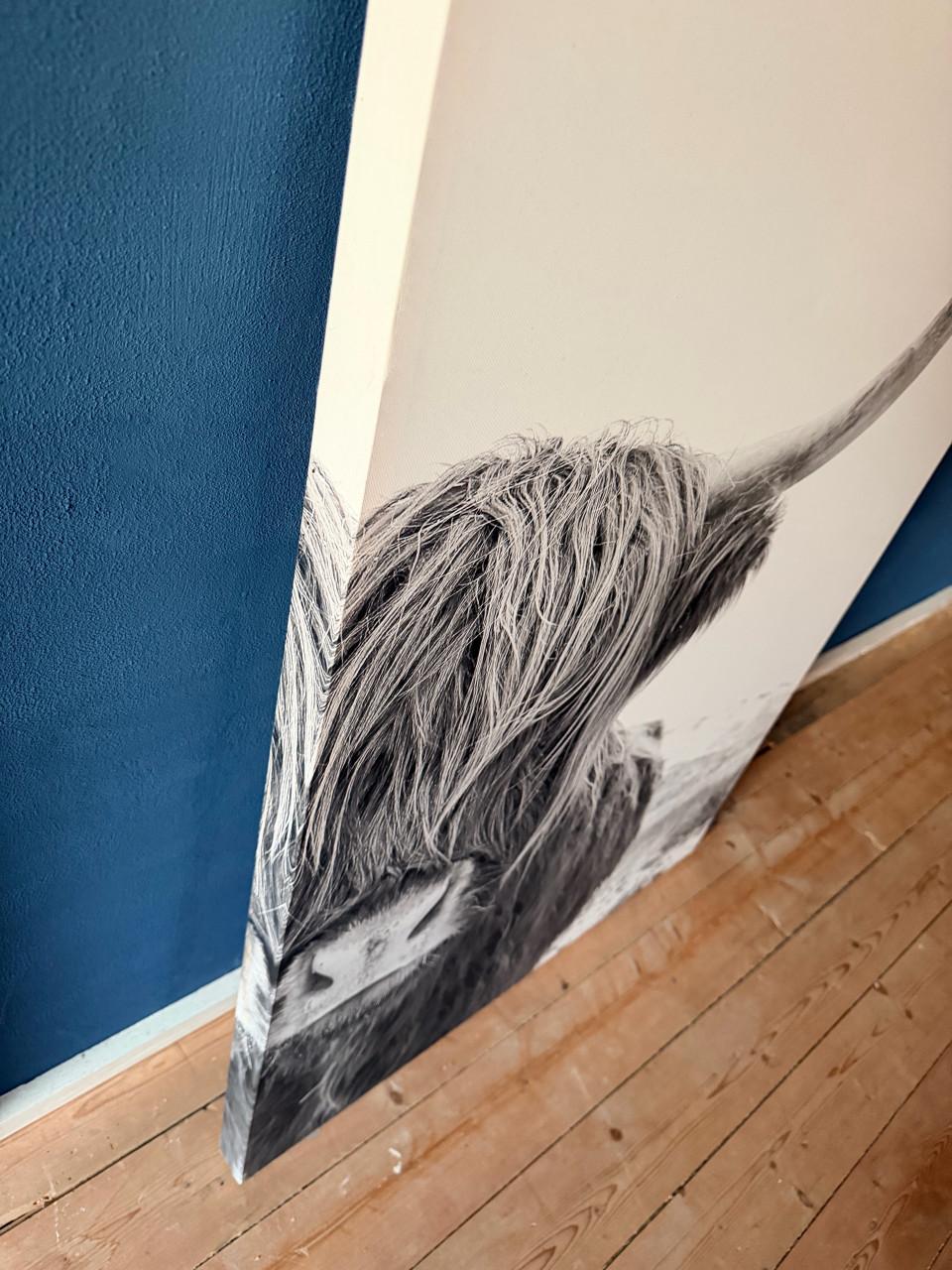 Canvasdoek met schotse hooglander te koop.
