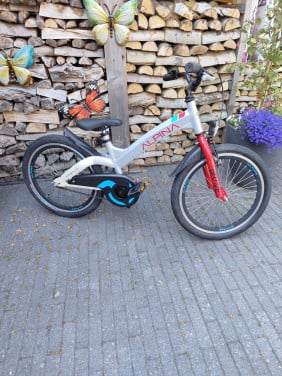 Alpina Brave 20 inch fiets nieuwe Schwalbe banden