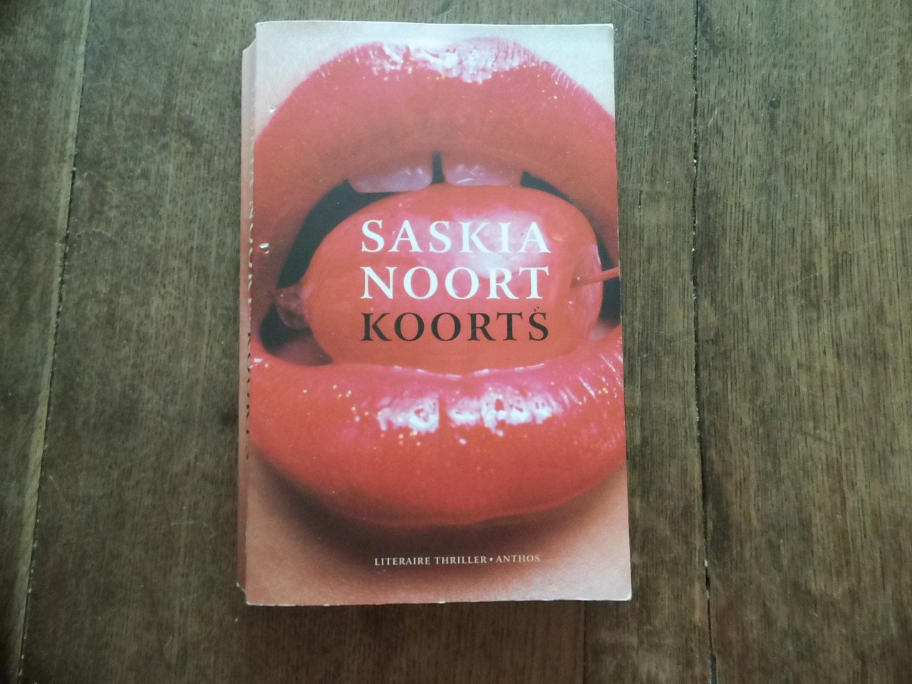 Koorts van Saskia Noort,