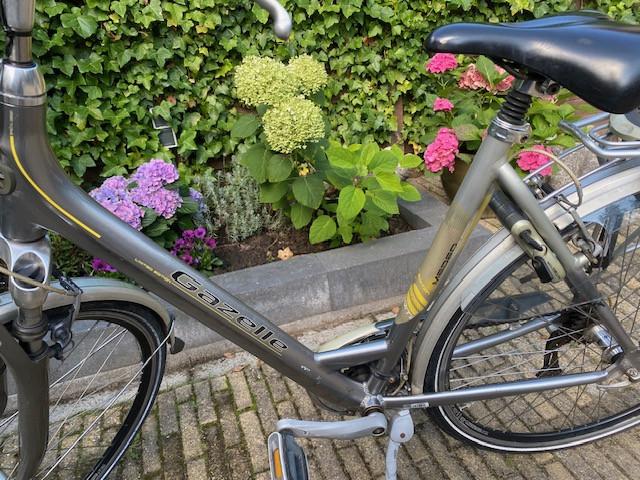 Damesfiets Gazelle Medeo