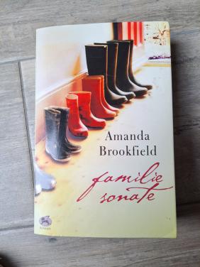 Roman familiesonate van Amanda Brookfield