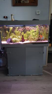 Aqarium