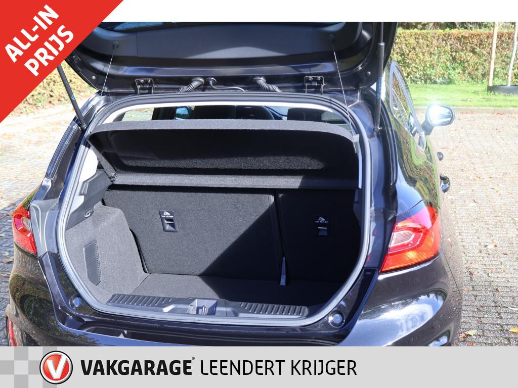 Ford Fiesta 1.0 ecob.hy. tit. 12 maanden bovag garantie | rijklaarprijs
