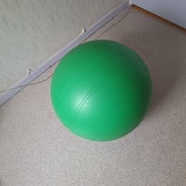 ABS powerbal, zitbal, fitbal 55 cm