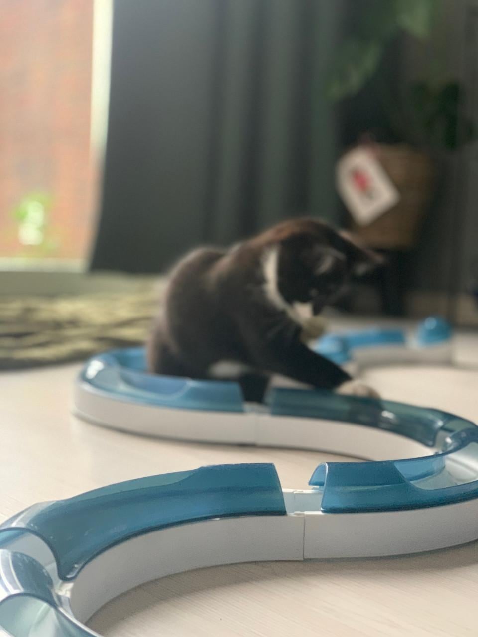 Speelbaan Circuit Kat