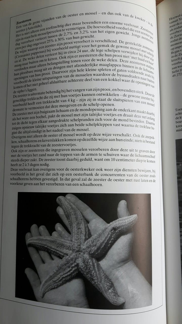 Het Zeeuwse Goud, geschiedenis van de mossel- en oestercultuur