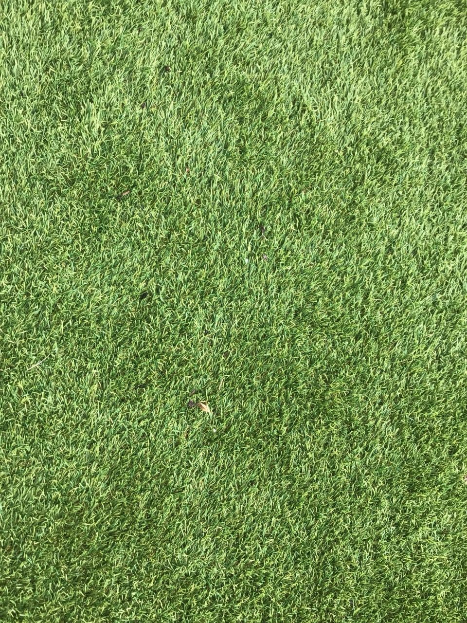 Kunstgras