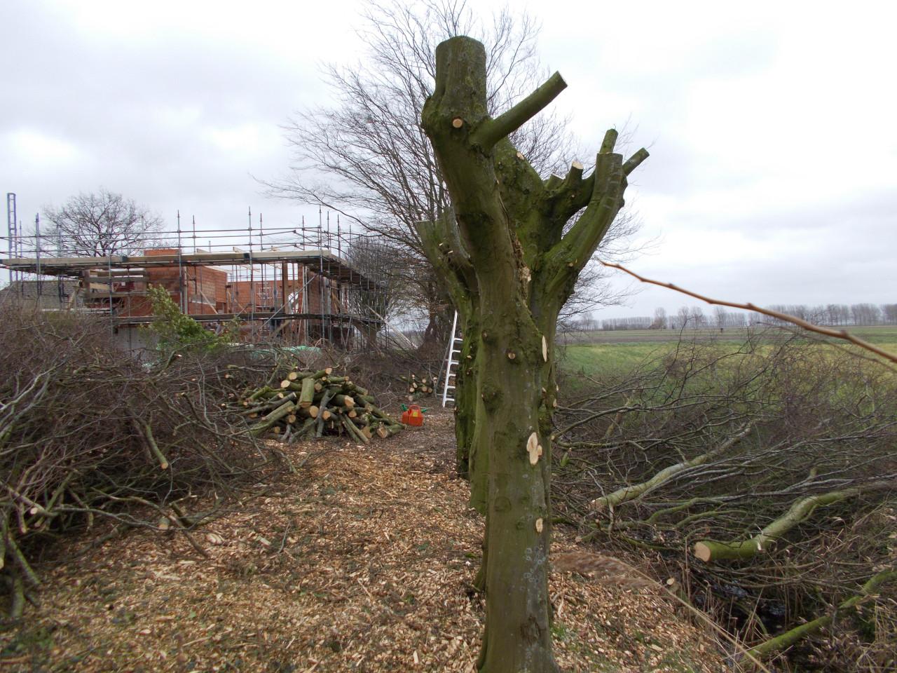 Zoekt u een goede Hovenier ?