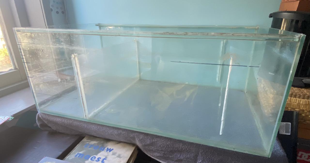 Aquarium glazen bak