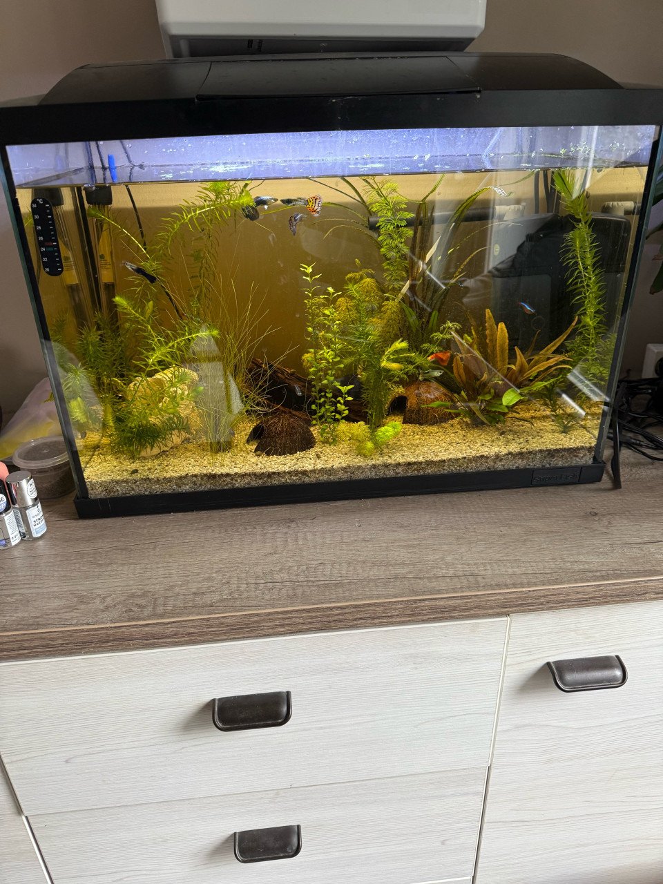 Aquarium + benodigdheden
