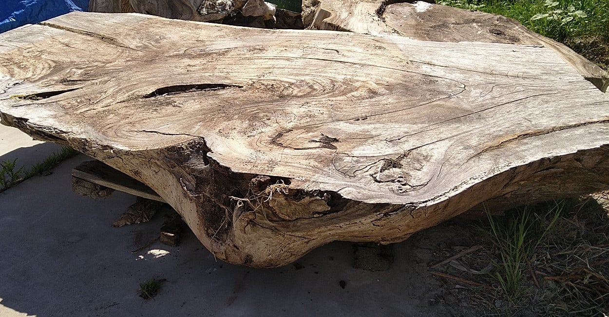 Boomstam blad 260x130 cm tussen 20 en 40 cm dik  (ongeveer 350 a 400 kg)