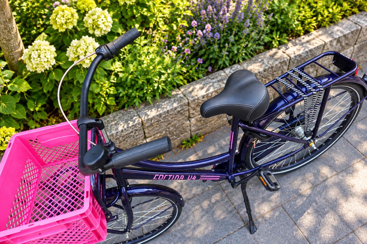 🚲 Cortina U4 Transportfiets 26 inch – Stoer, Sterk & Compleet
