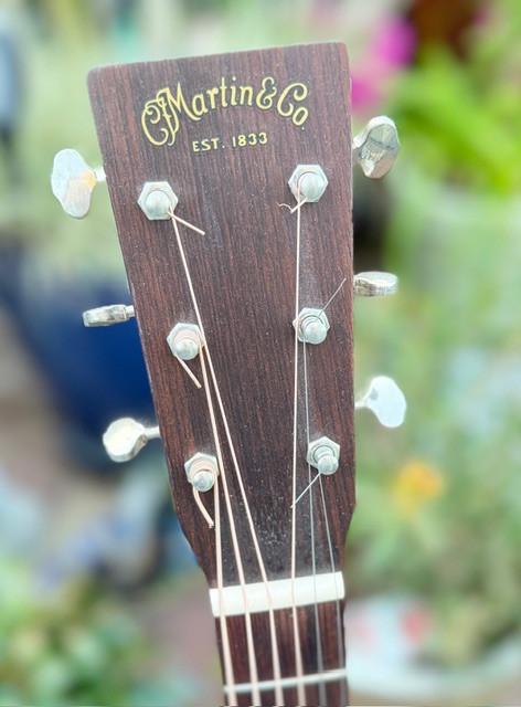 Martin  D - 15M zgan