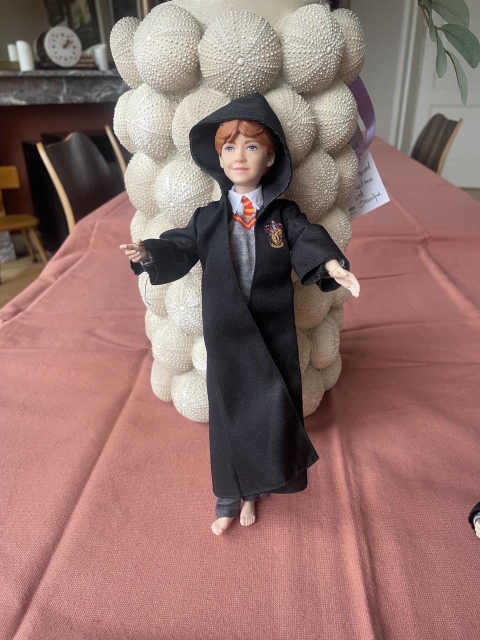Harry Potter Hermeline en Ron 4 stuks Mattel barbie