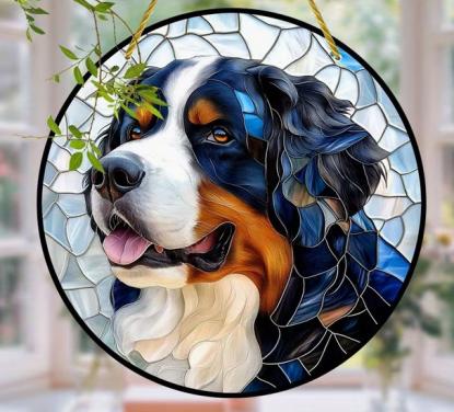 Raamhanger berner sennen
