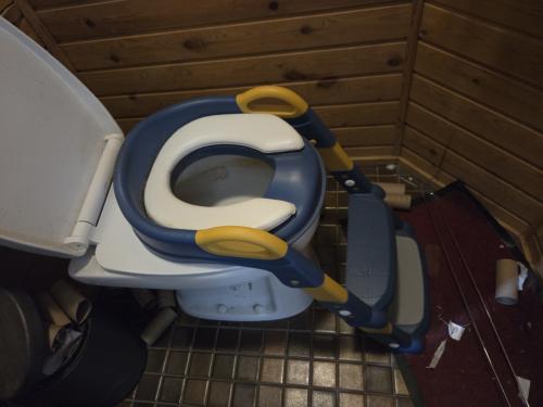 Handige toiletverkleiner met trapje