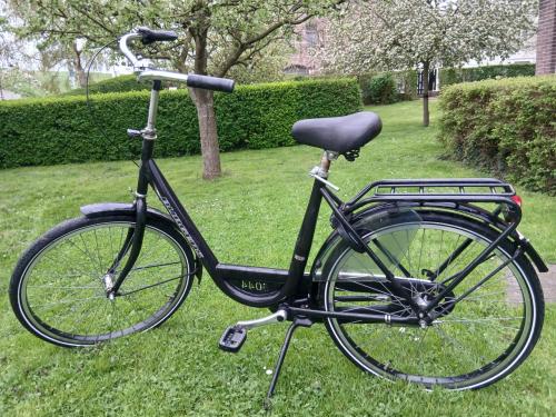 Damesfiets stadsfiets Burgers 3versn