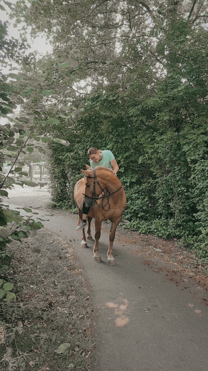 Lieve recreatieve D pony.
