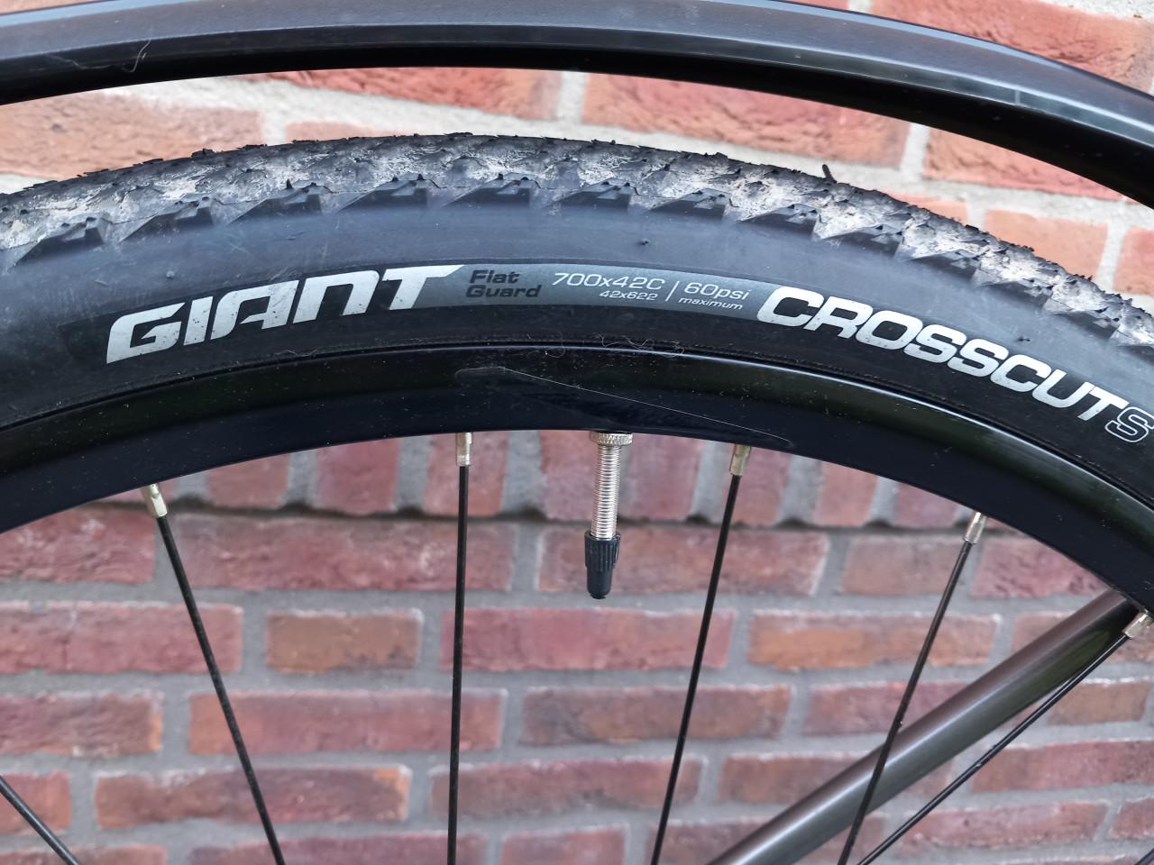 Prachtige mountainbike Giant Roam 2 XL