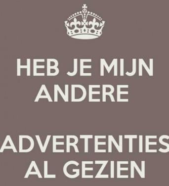 10x Bloempotten * Zilver * + Beeldjes 9x / onderzetters 10x *** Silver ***