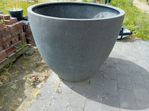 Grote bloempot voor boom