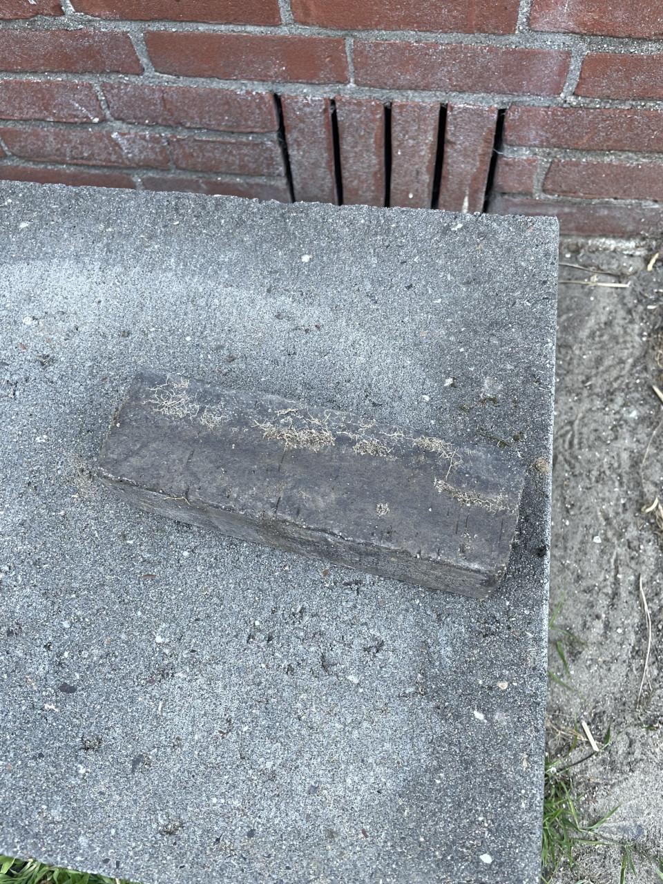 Gebakken klinkers