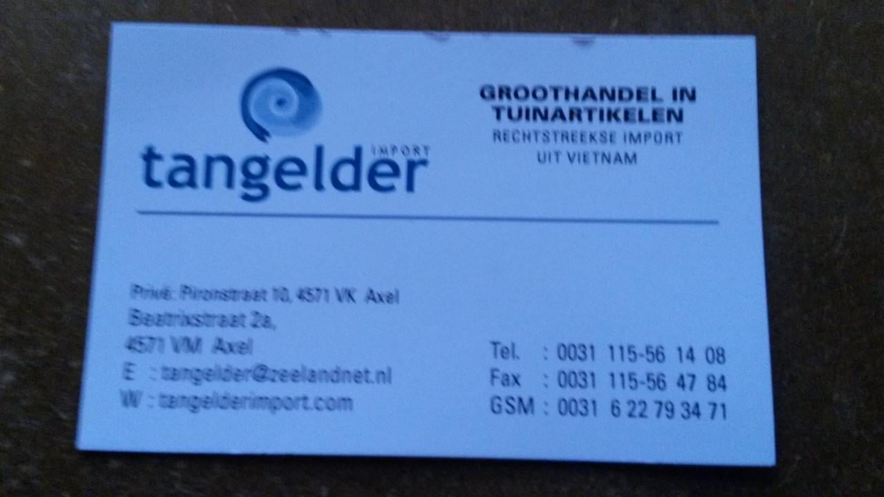 ZIJDE KUNSTPLANTEN BOMEN EN BLOEMEN