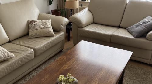 2,5 en 2 zits Lederen Banken. Goede zit en vering.