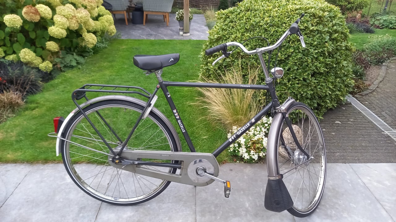 Gazelle heren