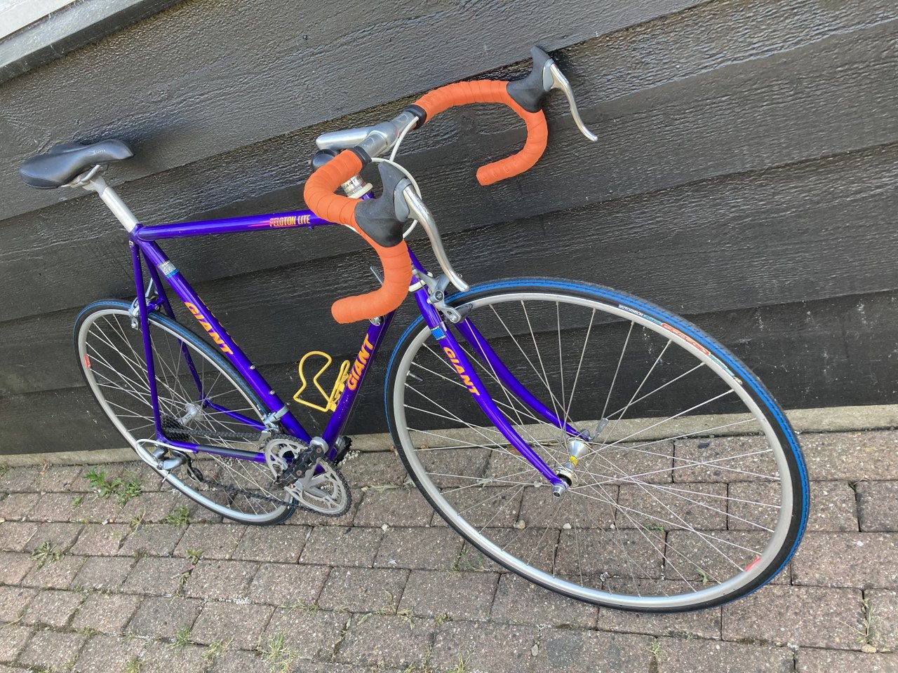 Giant Peleton Lite