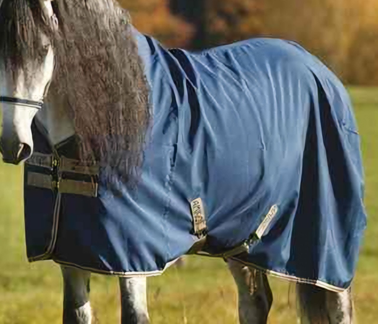 Amigo Horseware deken