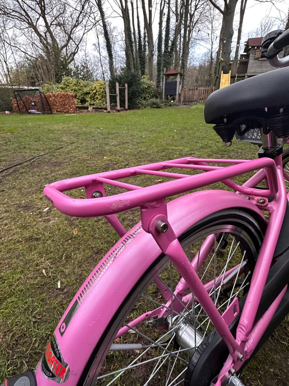 Meisjesfiets - 20 inch - Alpina Cargo Fuchsia Pink Matt