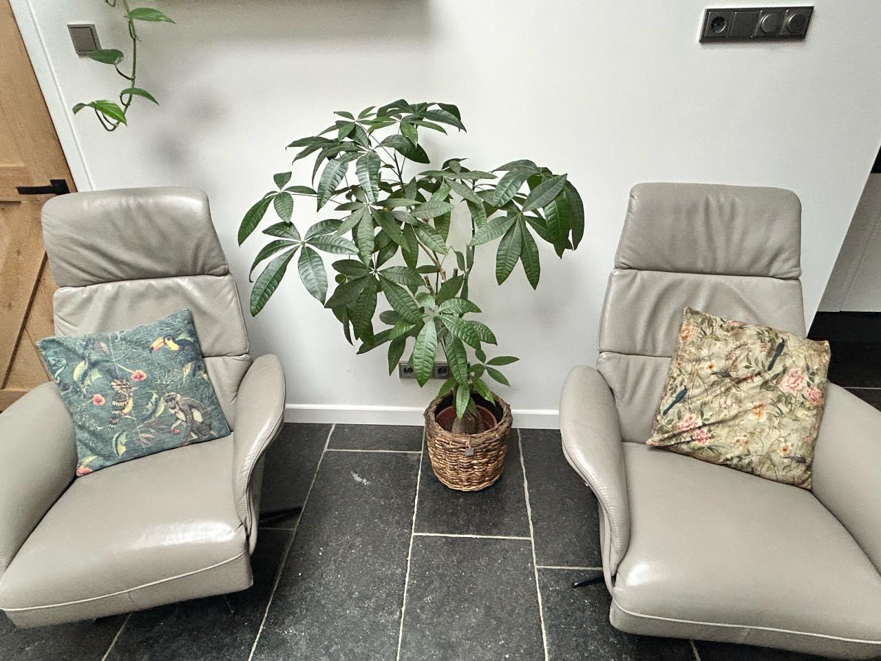 2 zeer mooie relax fauteuils izgs 350,- p/s