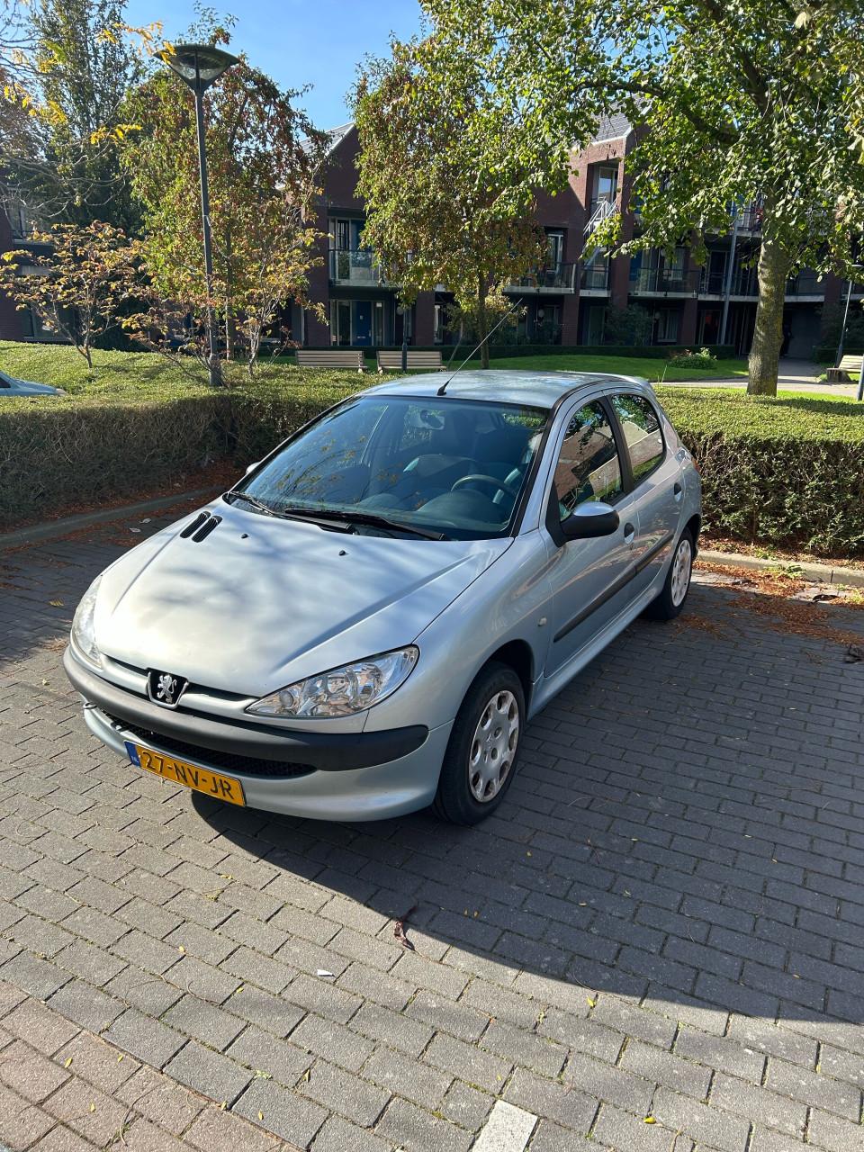 Peugeot 206 1.4i 5-Deurs licht blauw/grijs