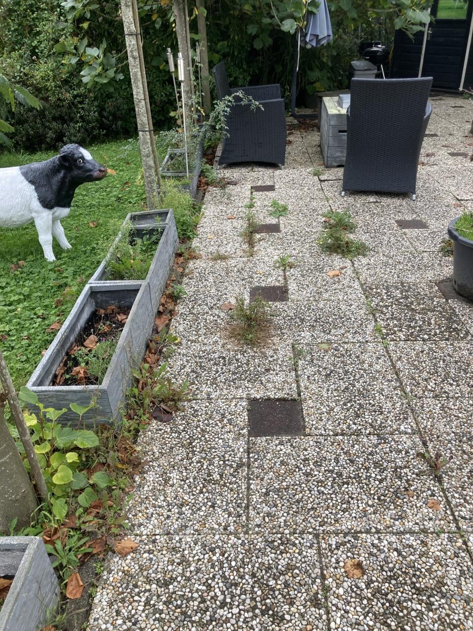 Hulp voor tuin gevraagd