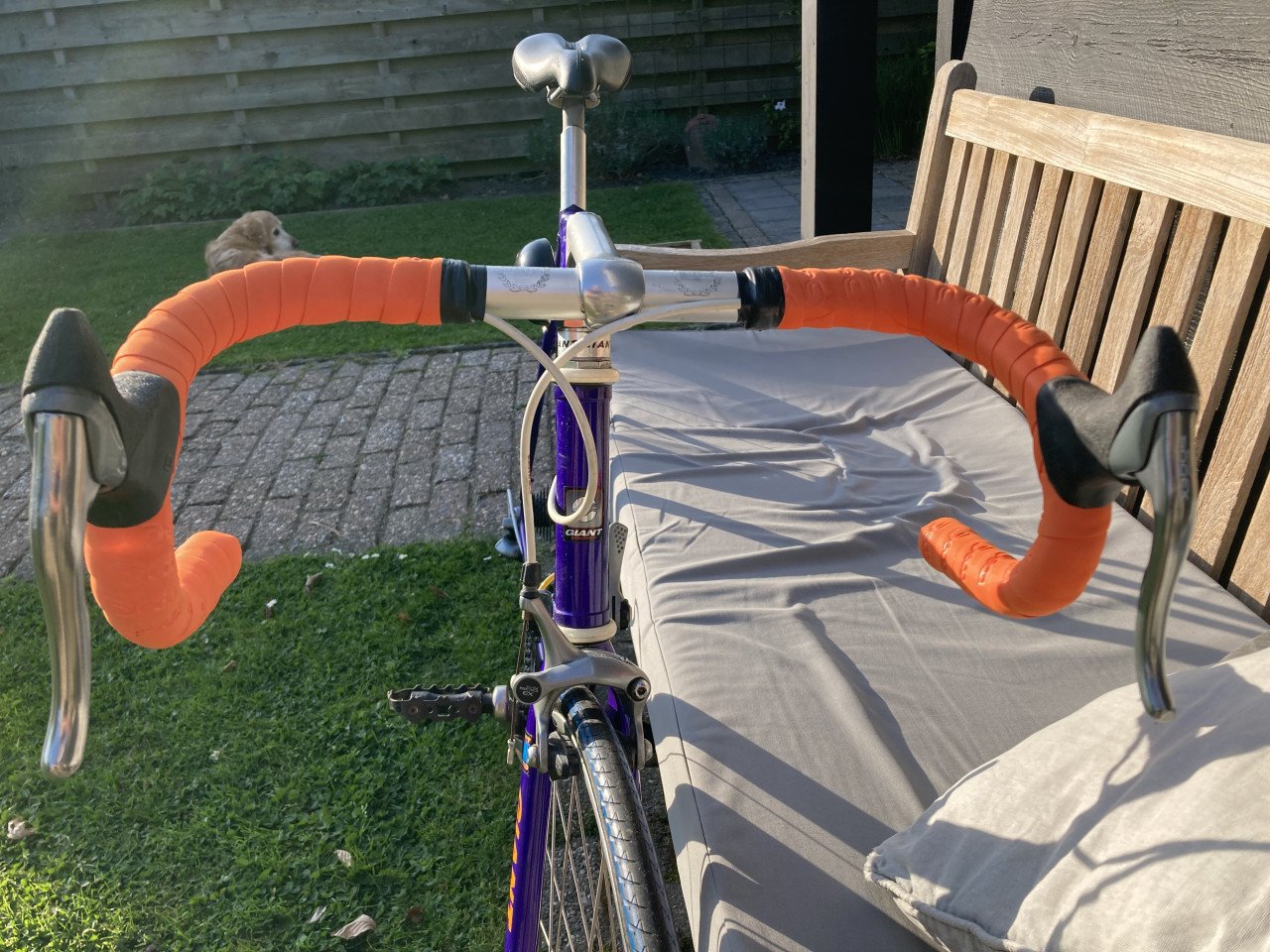 Giant Peleton Lite