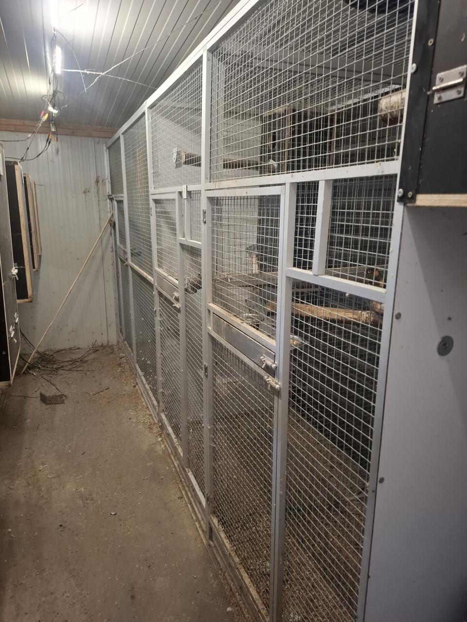 3 delige aluminium voliers