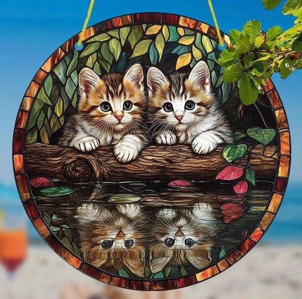 Raamhanger kitten