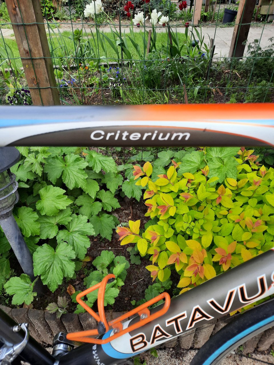 Batavus Criterium racefiets