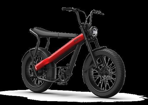 BREKR F250 stoere E-BIKE
