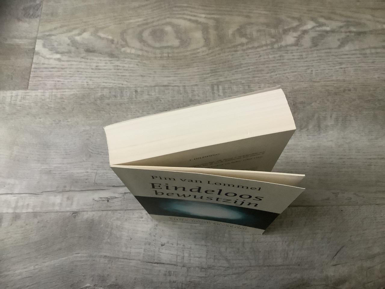 Eindeloos Bewustzijn - bijna doodervaring  - Pim van Lommel