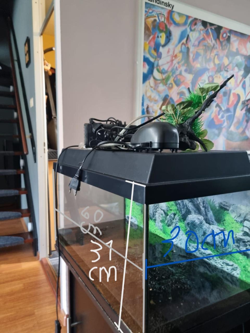 Aquarium met een kast en nog een klein Aquarium zonder kast.