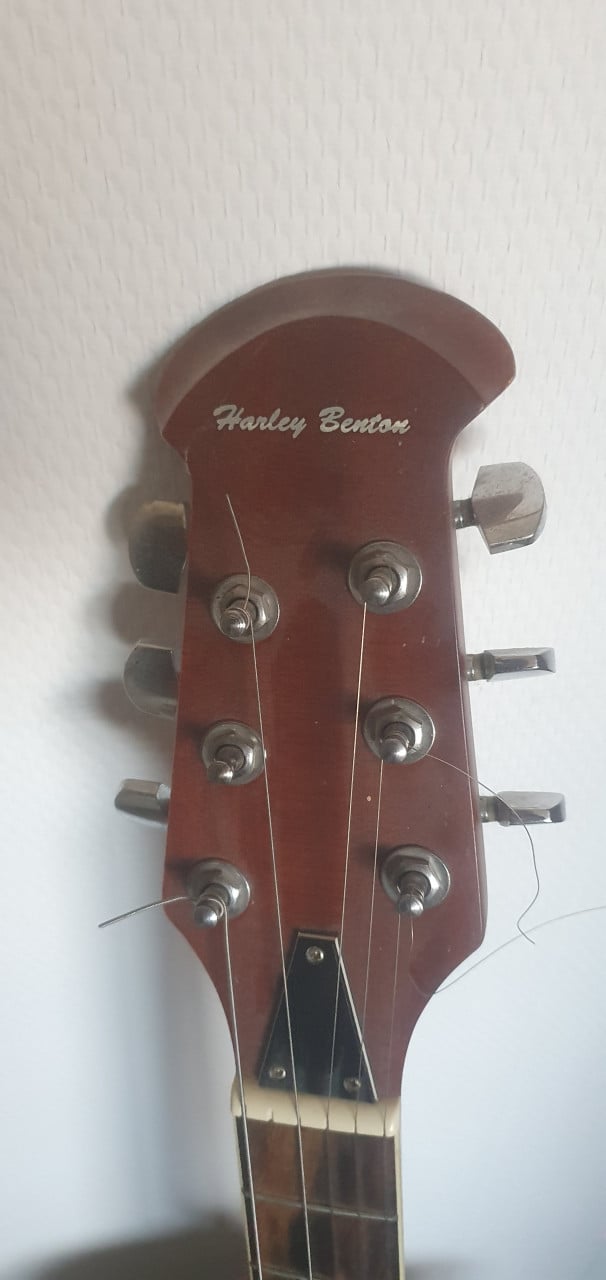 Semi akoestisch gitaar